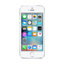 Apple iPhone 5S 16GB Silver - Bell