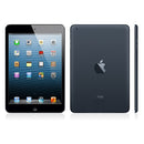 Apple iPad Mini 16GB Slate w/ Black - Wi-Fi